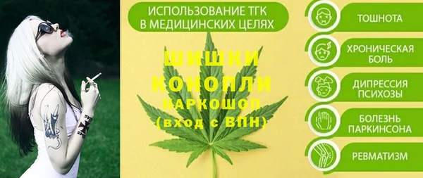 PSILOCYBIN Богородицк